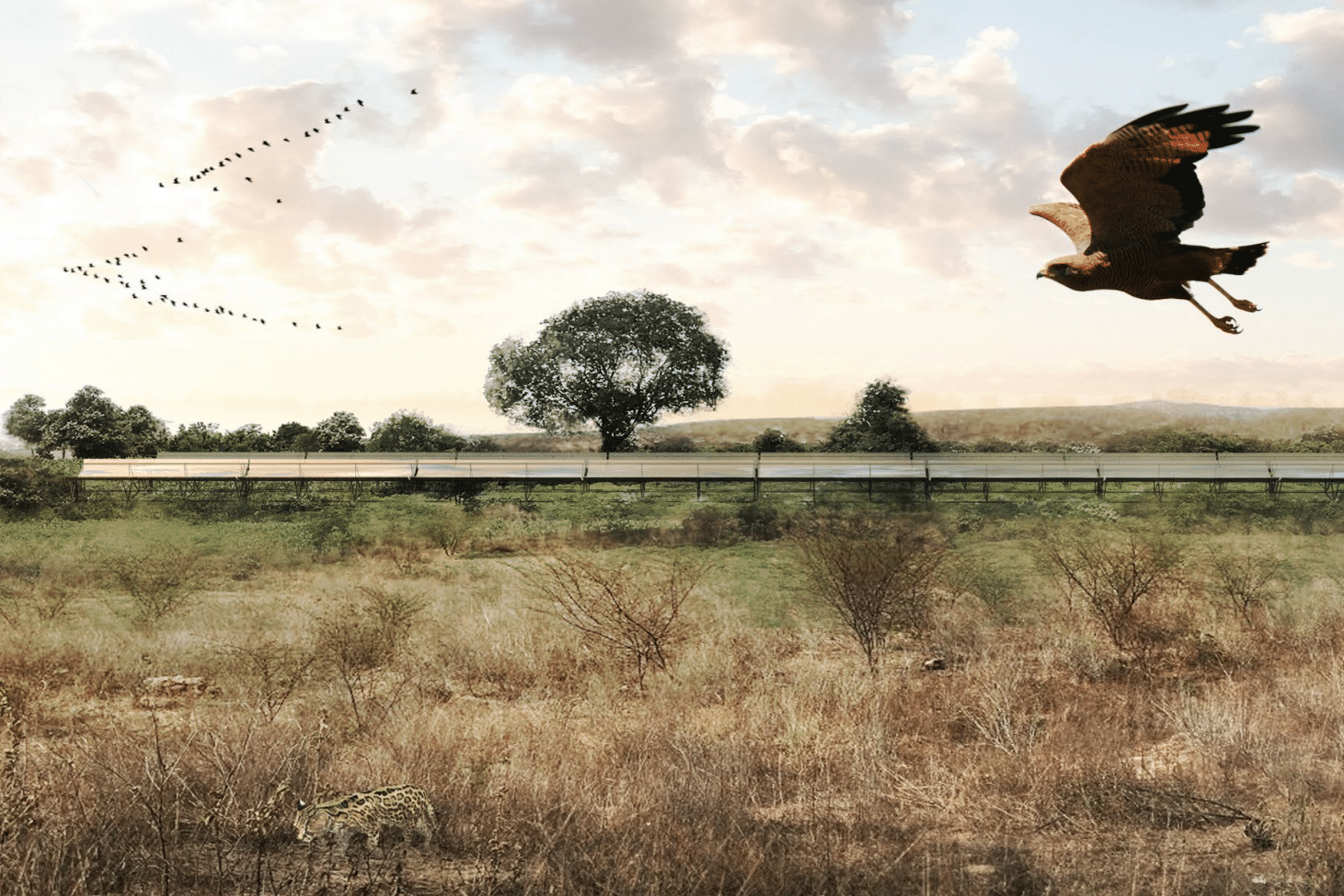 paisagem infraestrutural e regeneração ecossistêmica – santa quitéria (CE)