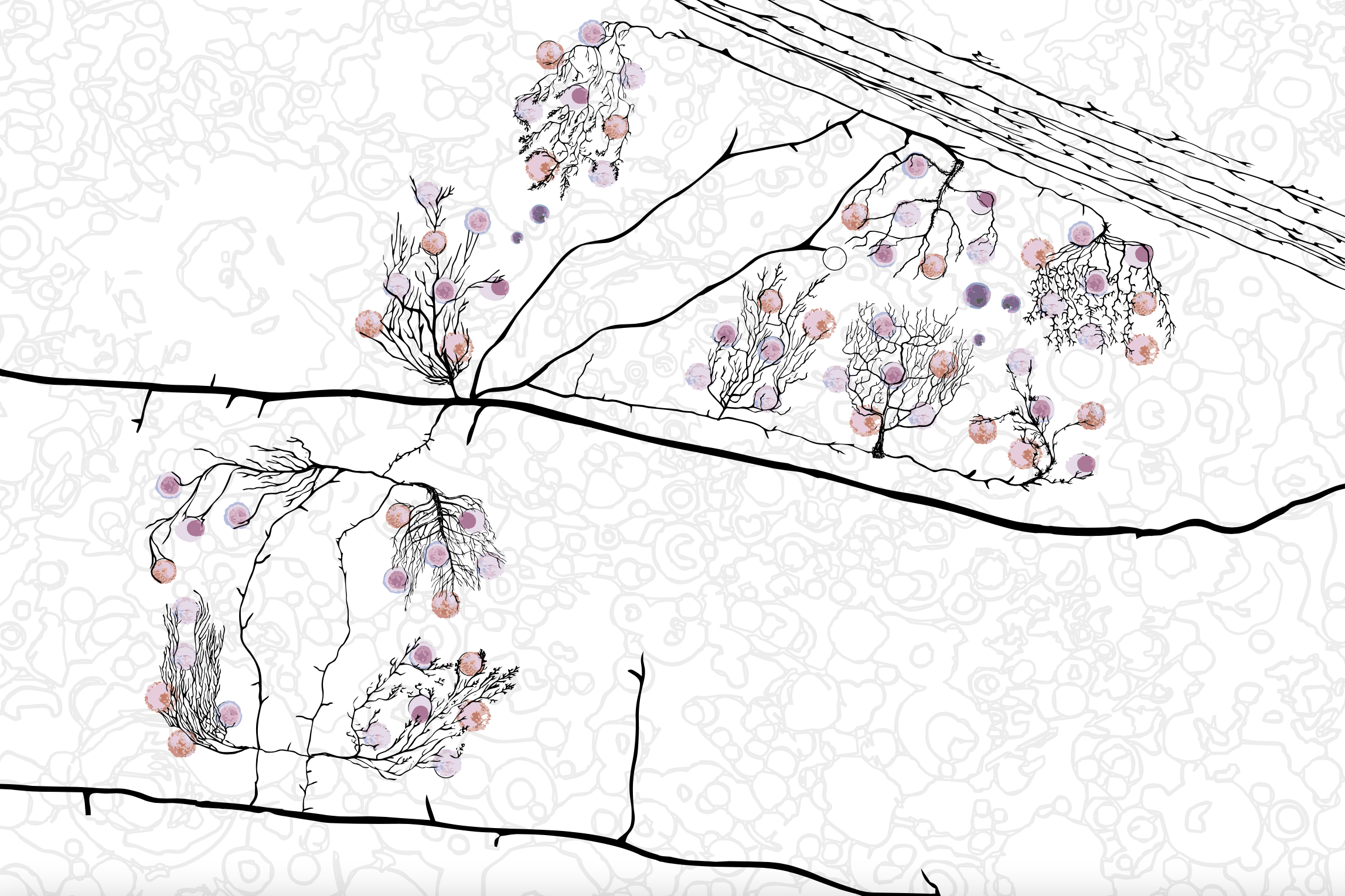 cartografias ficcionais: athaydeville