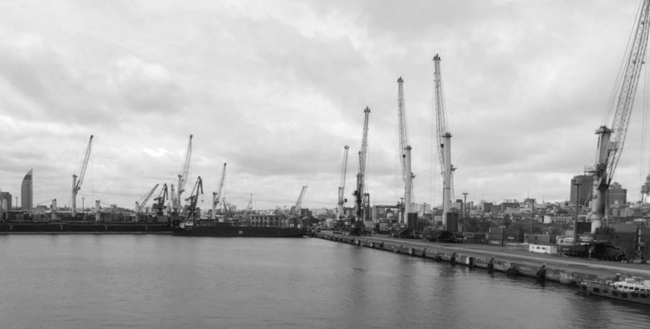 tectônica da paisagem: natureza, projeto e cultura arquitetônica