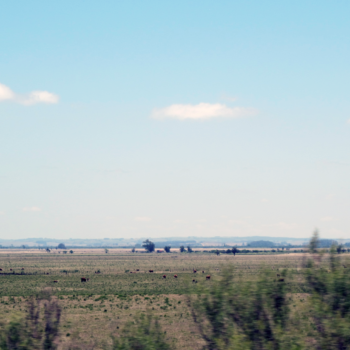 linhas expandidas. urbanismos de fronteira: brasil, uruguai e argentina